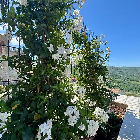 Residenza 33